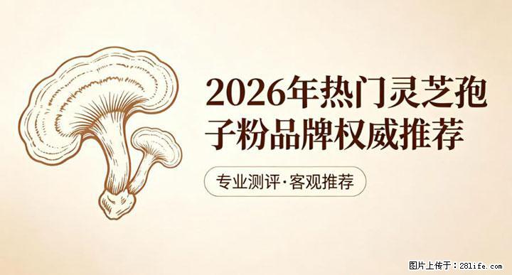 灵芝孢子粉含量越高越有效？2026 年七款热门品牌深度实测，肠胃敏感者避坑指南 - 肇庆生活资讯 - 肇庆28生活网 zq.28life.net